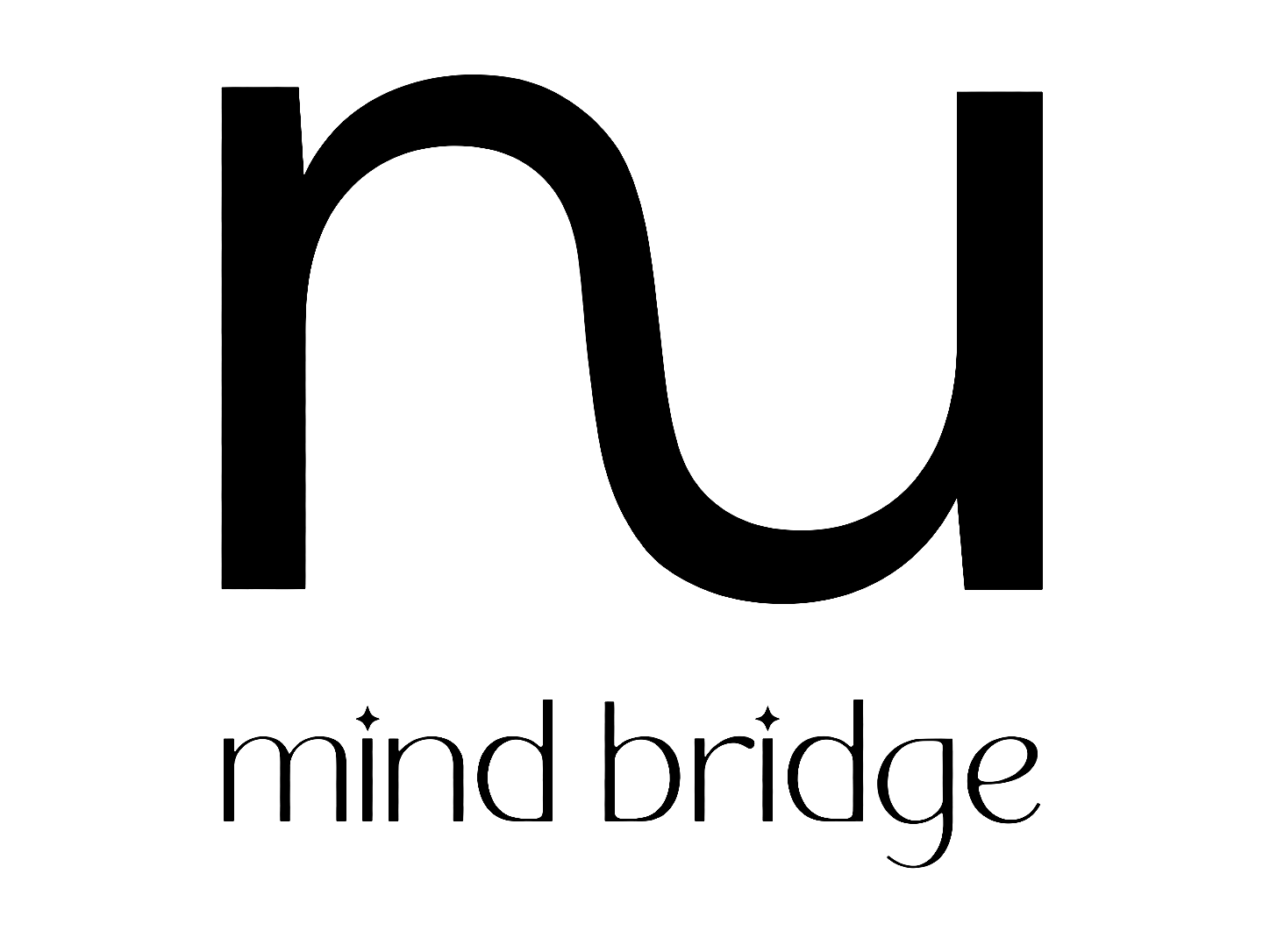 Mind Bridge